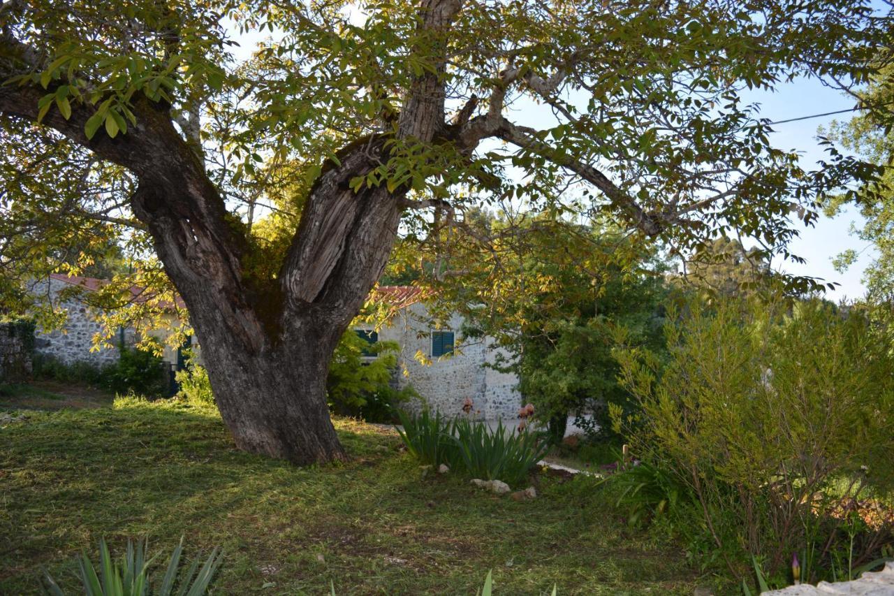 Villa Casa Da Pedra à Ancião Extérieur photo